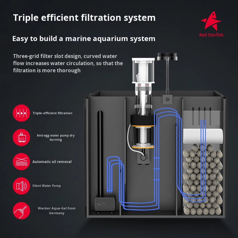 Modern Luxury Glass Saltwater Aquarium