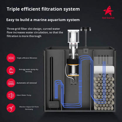 Modern Luxury Glass Saltwater Aquarium