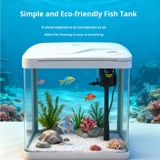 Small Rectangular Glass Goldfish & Turtle Tank