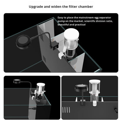 Modern Luxury Glass Saltwater Aquarium