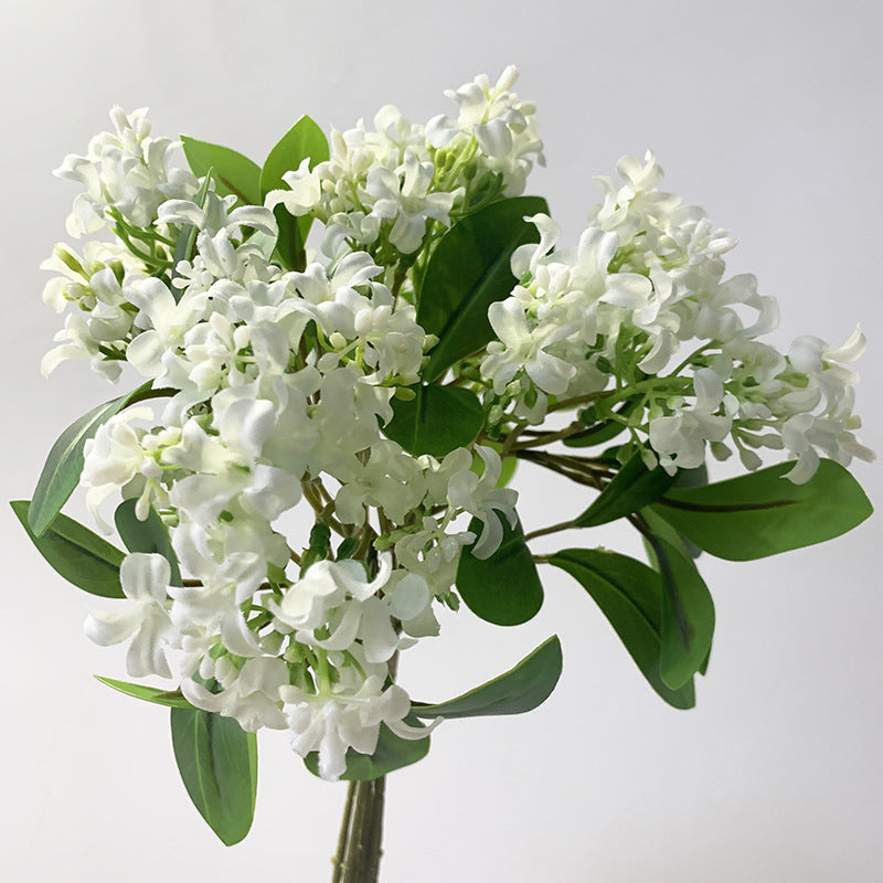 Simulated Flower Arrangement Of Murraya Paniculata