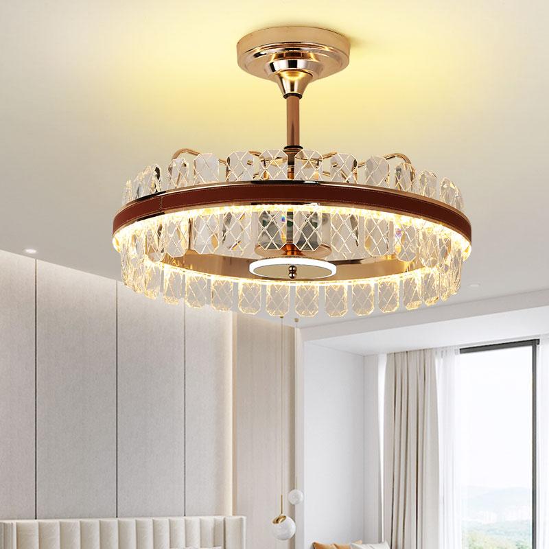 Indoor Ceiling Fan Light