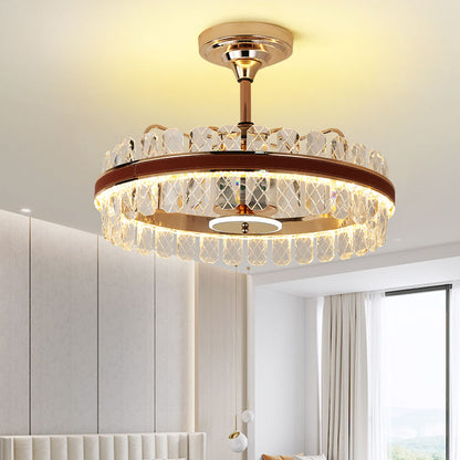 Indoor Ceiling Fan Light