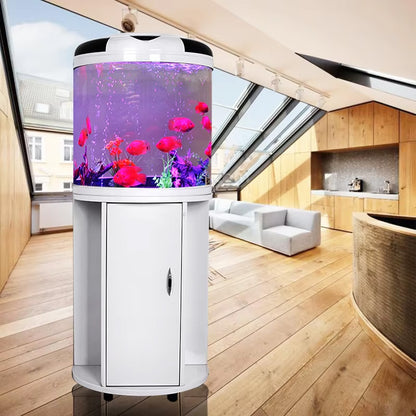 Modern HD Glass Semi-Circular Aquarium