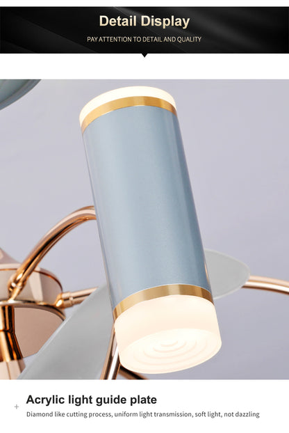 Modern Ceiling Fan Light