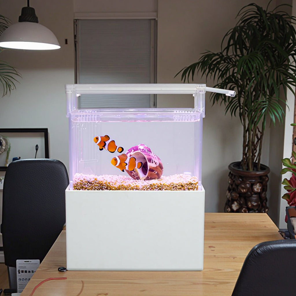 Modern 6L Smart Acrylic Ecosystem Tank