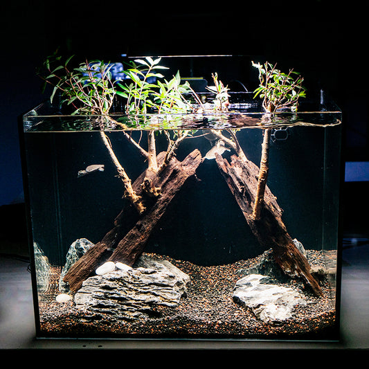 Factory Wholesale Glass Desktop Freshwater Aquarium