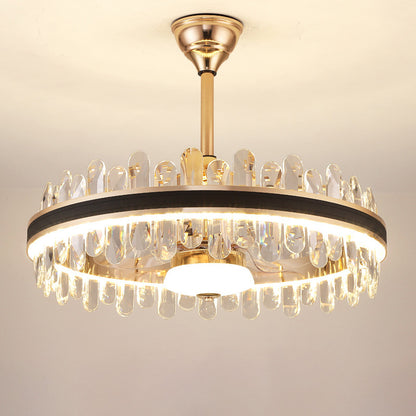 Smart Modern Fan Light