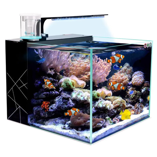 Modern Thickened Glass Seawater Aquarium