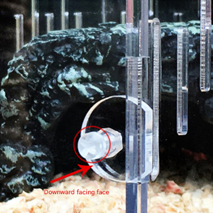 4-Compartment Acrylic Reptile Terrarium Customizable