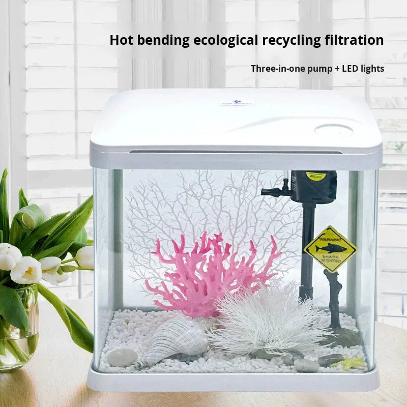 Small Rectangular Glass Goldfish & Turtle Tank