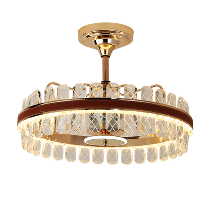 Indoor Ceiling Fan Light