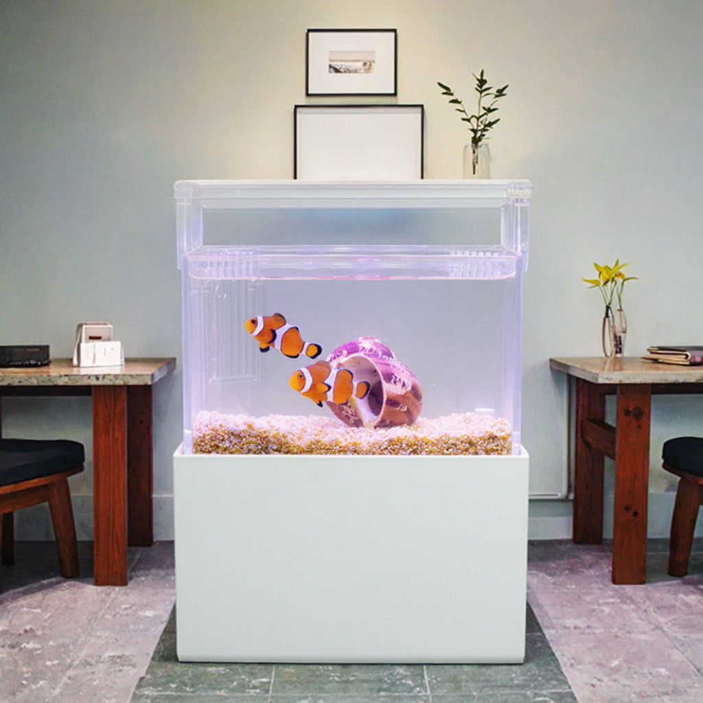 Modern 6L Smart Acrylic Ecosystem Tank