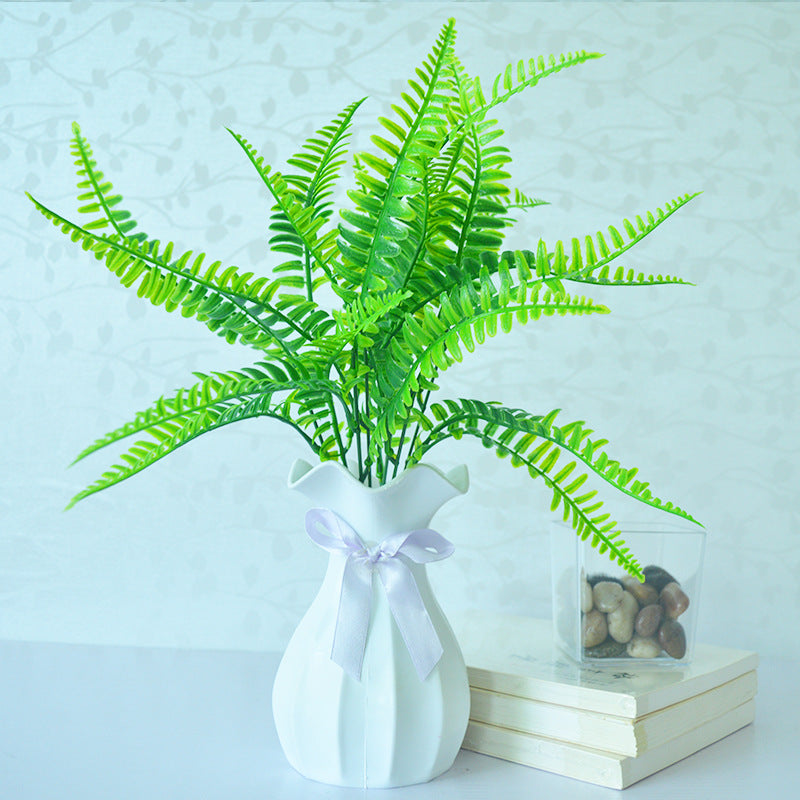 Simulita Persa Folia Bundle Filiko Folio Planto Muro