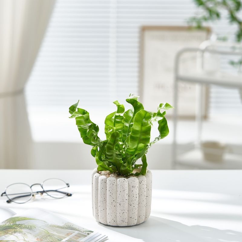 Цементный плантатор в форме палочки для печенья