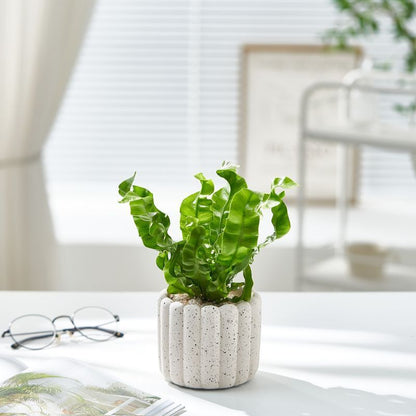 Цементный плантатор в форме палочки для печенья