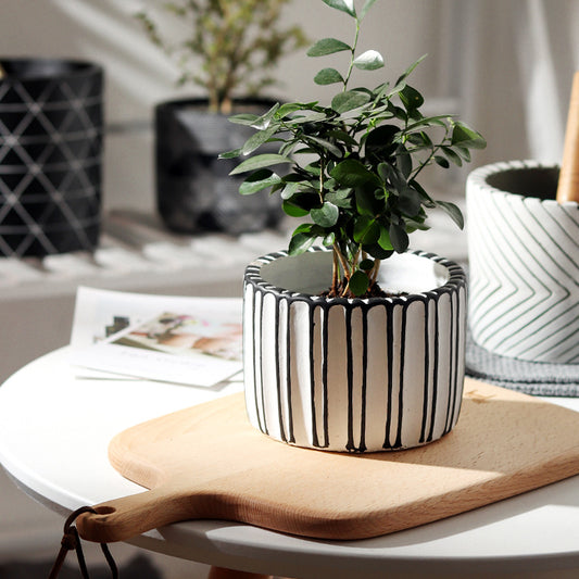 Цементный сочный цветочный горшок