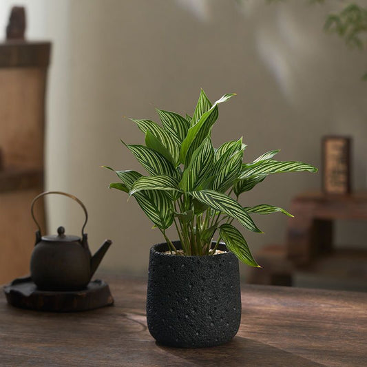 Minimalista Vulkana Ŝtono Cementa Florpoto