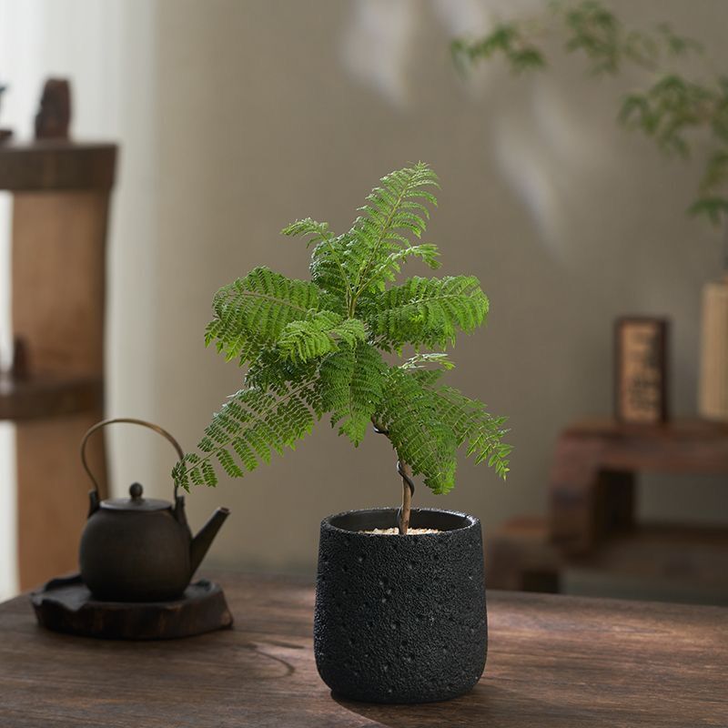 Минималистский цветочный горшок из вулканического камня и цемента