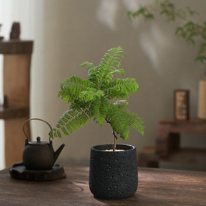 Минималистский цветочный горшок из вулканического камня и цемента