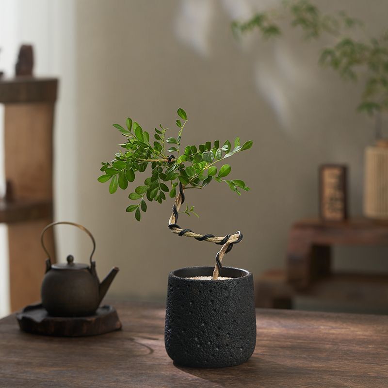 Минималистский цветочный горшок из вулканического камня и цемента
