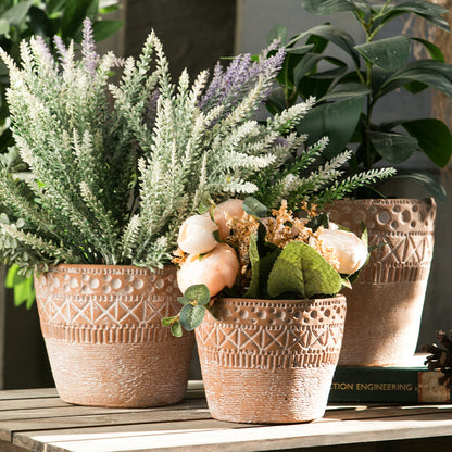 Hortikulturaj Potitaj Cementaj Florpotoj