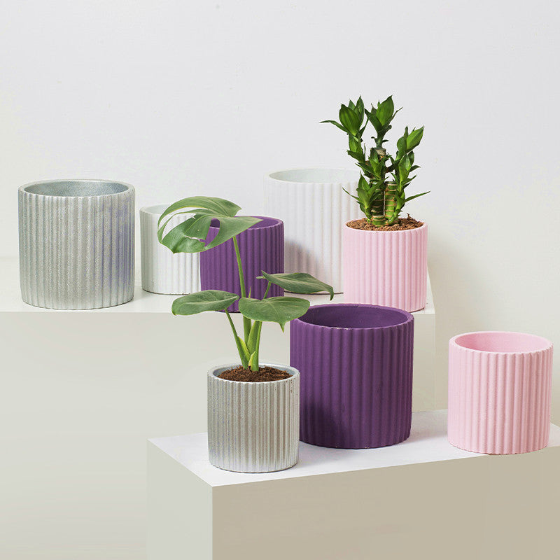 Minimalista Morande Cementa Florpoto