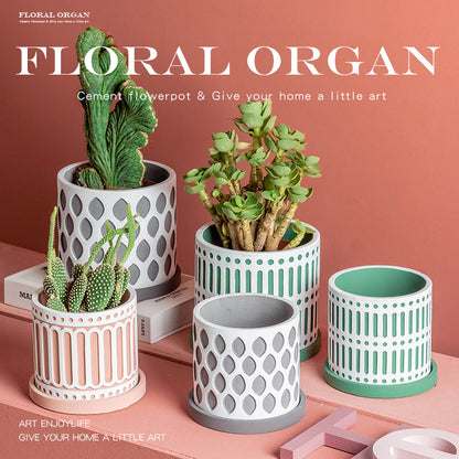 Сеялка для суккулентного цемента Morandi