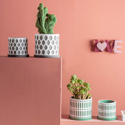 Сеялка для суккулентного цемента Morandi