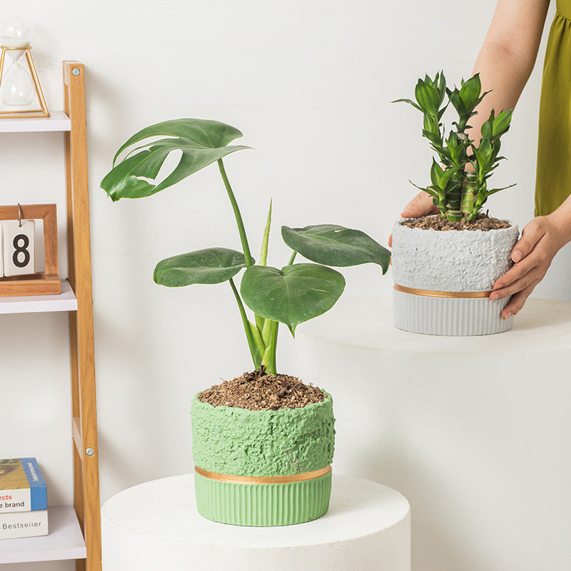 Простой цементный цветочный горшок с золотыми краями