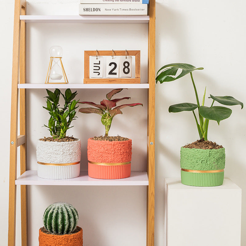 Простой цементный цветочный горшок с золотыми краями