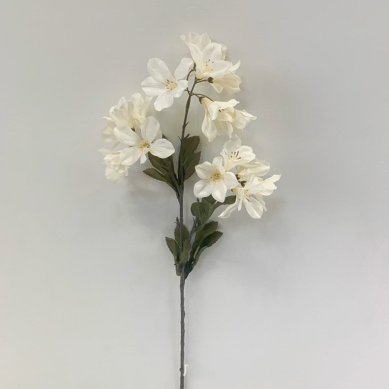 Украшение дома Моделирование росистого цветка