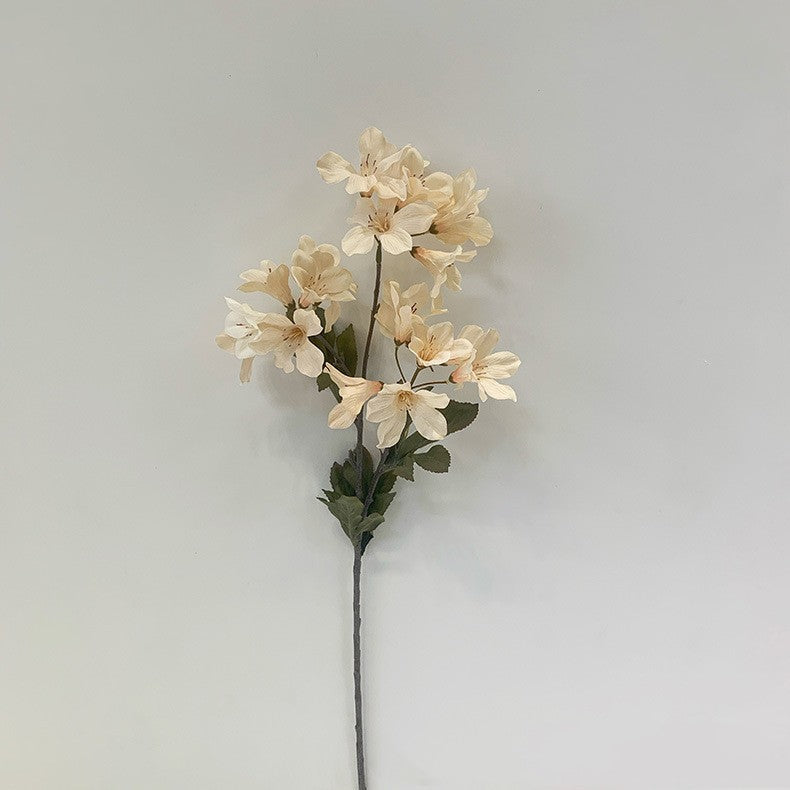 Украшение дома Моделирование росистого цветка