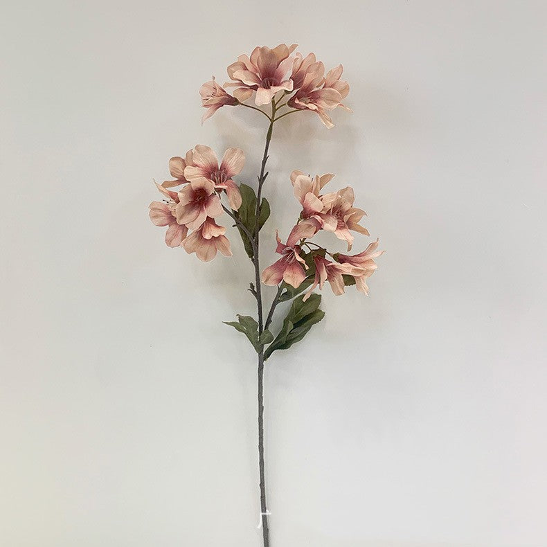 Украшение дома Моделирование росистого цветка