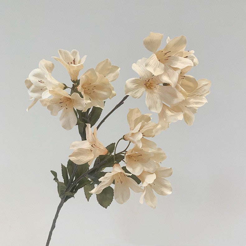 Украшение дома Моделирование росистого цветка