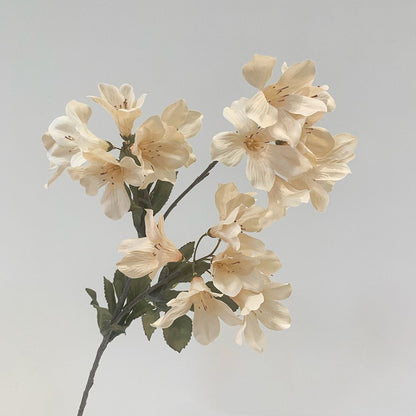 Украшение дома Моделирование росистого цветка