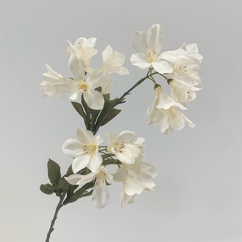 Украшение дома Моделирование росистого цветка