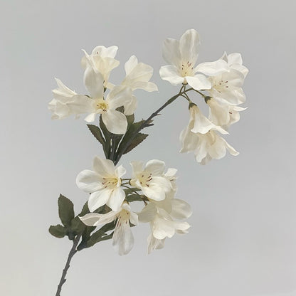 Украшение дома Моделирование росистого цветка