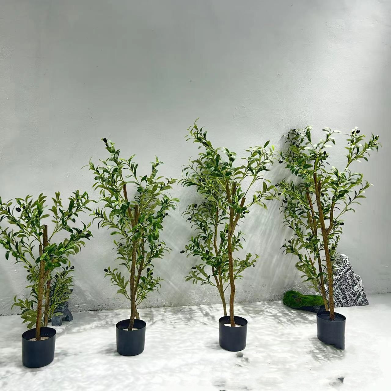 Olive Tree Simulation Plants