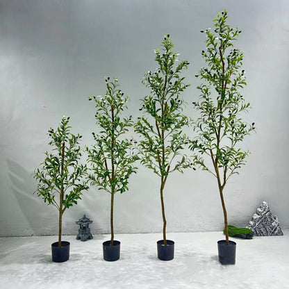 Olive Tree Simulation Plants