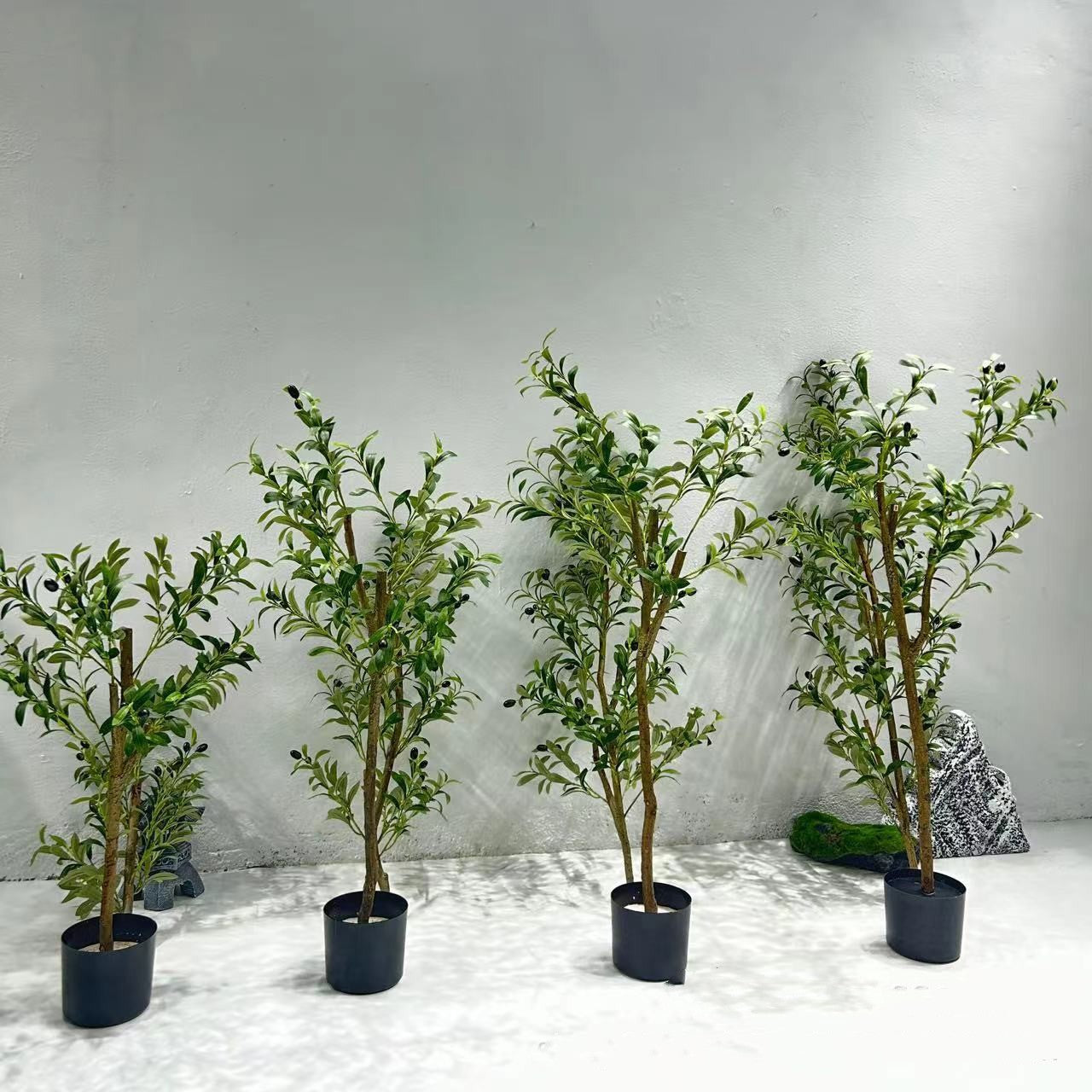 Olive Tree Simulation Plants