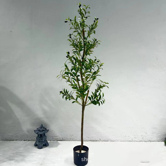 Olive Tree Simulation Plants