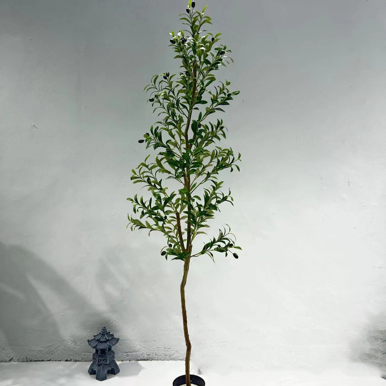 Olive Tree Simulation Plants