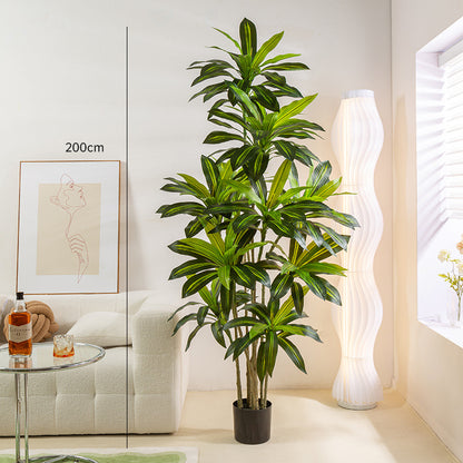 Simulated Green Plant Brazilian Wood Potted Indoor Tree Decoration