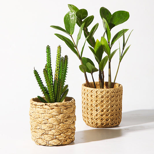 Rotan Teksita Cementa Florpoto