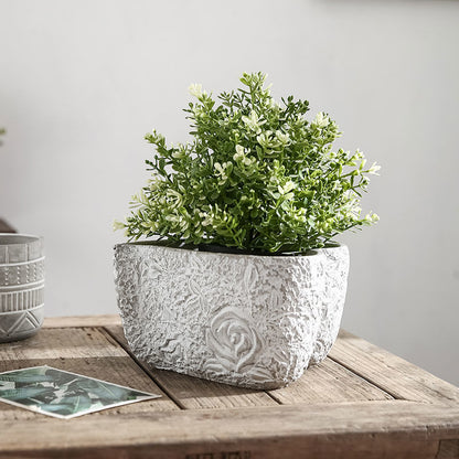 Kreiva Korforma Cementa Plantilo