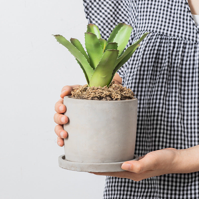 Minimalista Cementa Vazo Kun Pleto