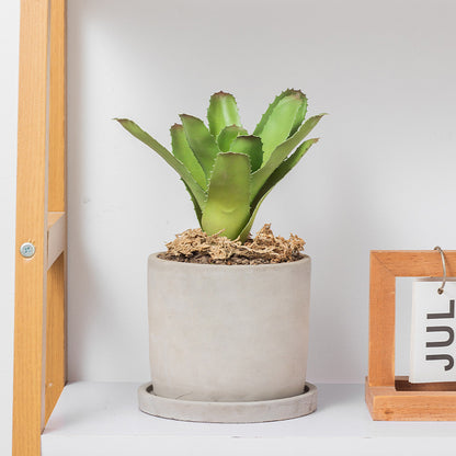 Minimalista Cementa Vazo Kun Pleto