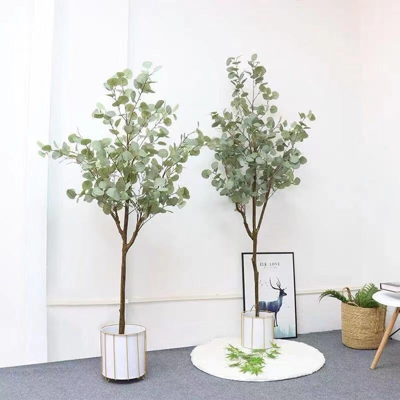 Verda Potita Eŭkalipto Granda Planto Simula Arbo