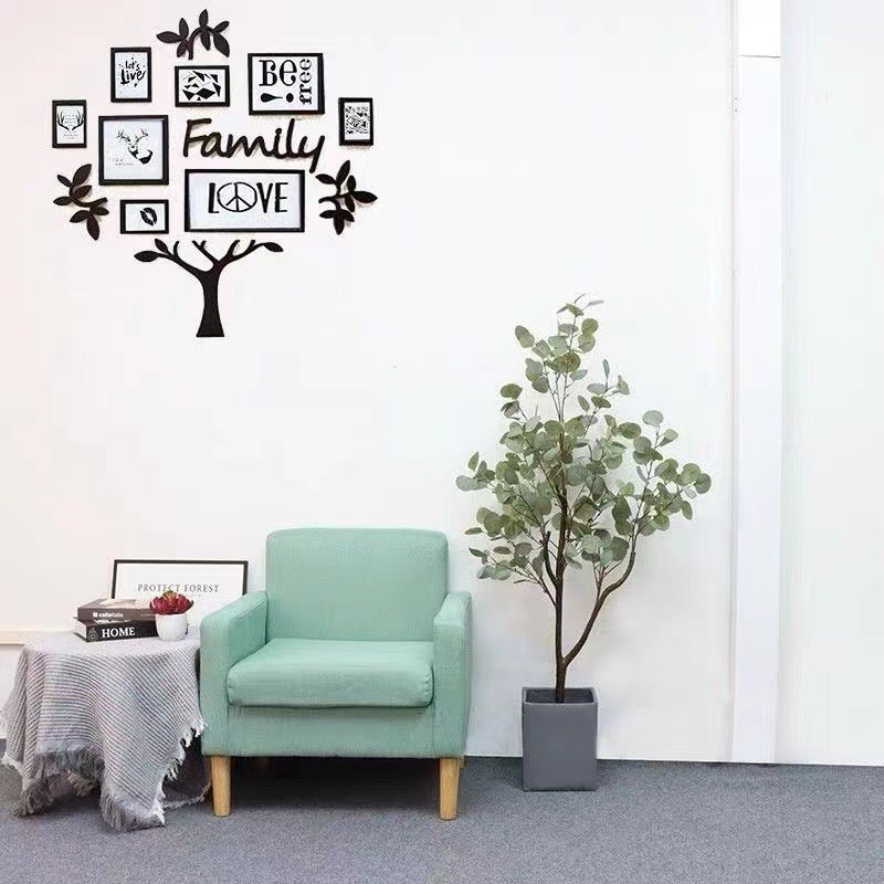 Verda Potita Eŭkalipto Granda Planto Simula Arbo